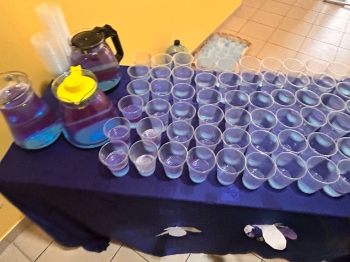 IMG-20250416-WA0122