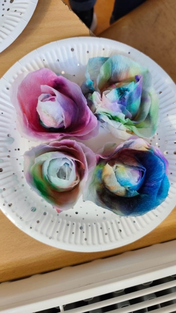 FB_IMG_1773598123048