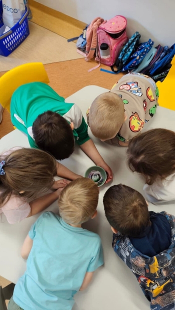 FB_IMG_1773598111241