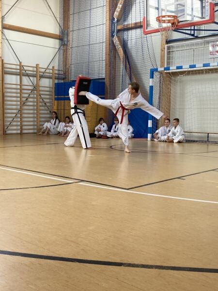 POKAZ TAEKWONDO